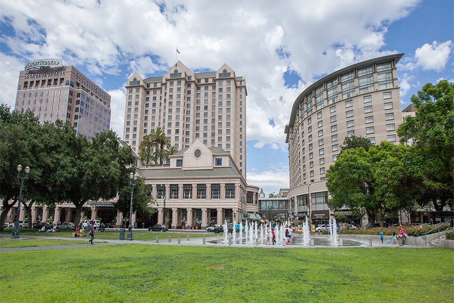 An image of Tall Buildings taken from garden